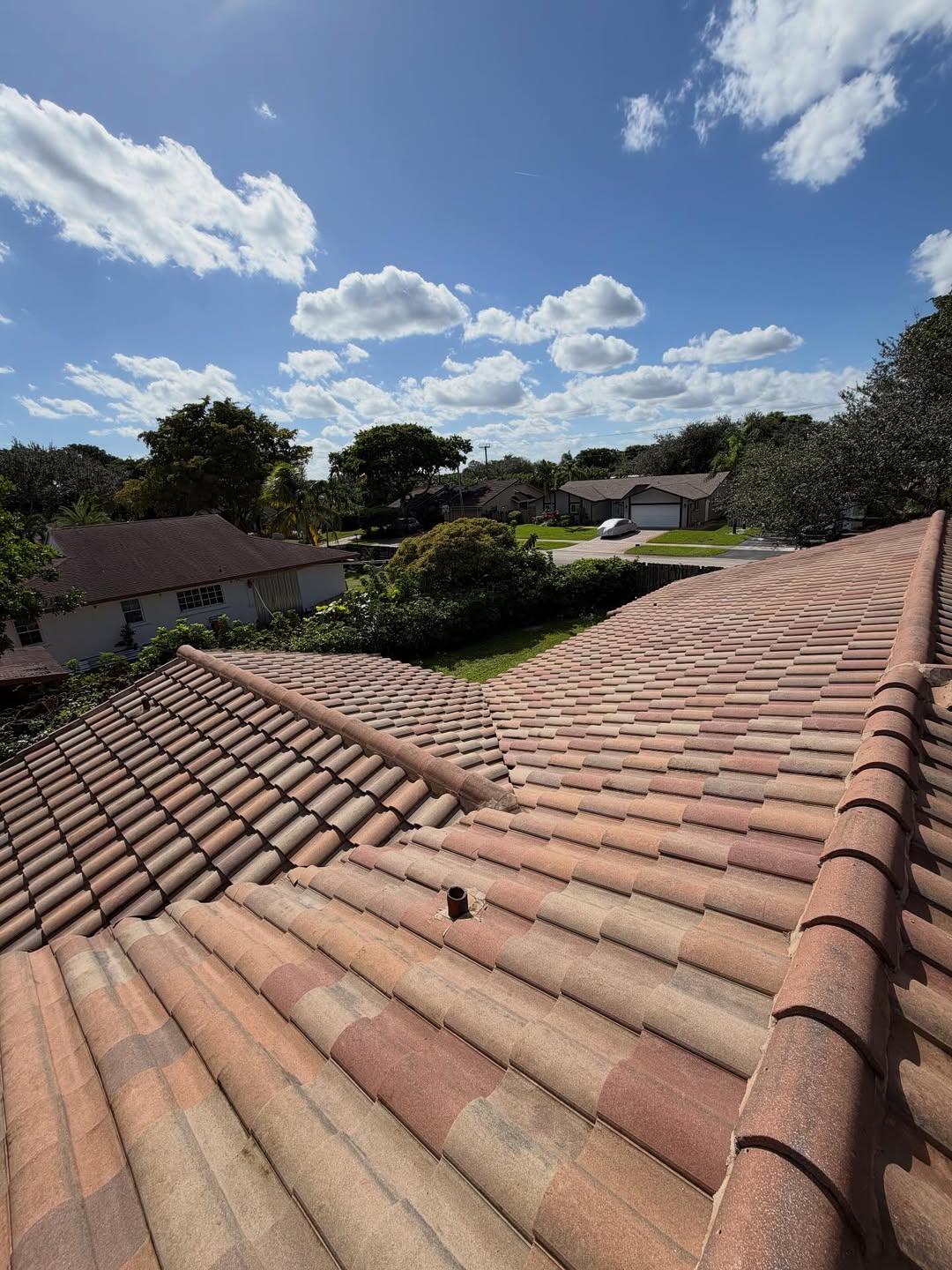 Roof after cleaning